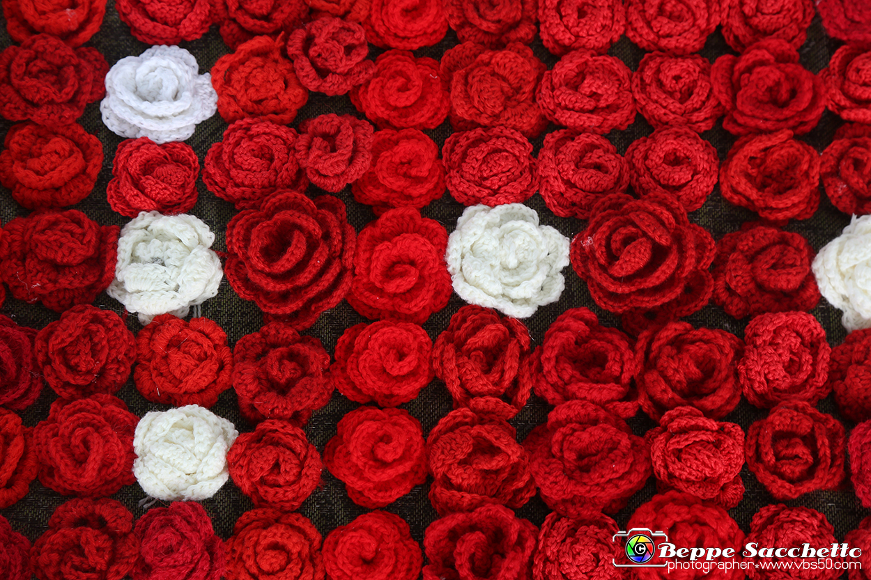 VBS_9678 - Infiorata di Villanova d'Asti 2023.jpg